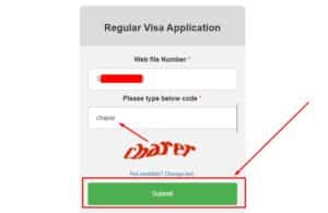 indian visa check online by passport number | online visa status check india | ভারতীয় ভিসা আপডেট | ইন্ডিয়ান ভিসা চেক করার নিয়ম