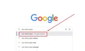 পাসপোর্ট নাম্বার দিয়ে কাতার ভিসা চেক