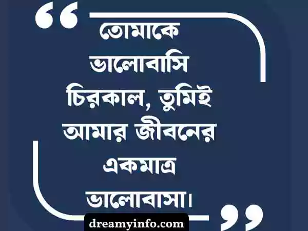 ইমোশনাল স্ট্যাটাস