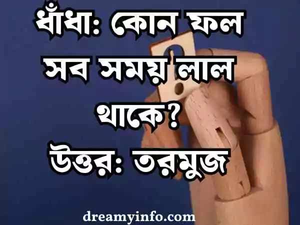 মজার ধাঁধা