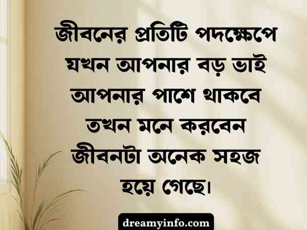 বড় ভাই নিয়ে স্ট্যাটাস