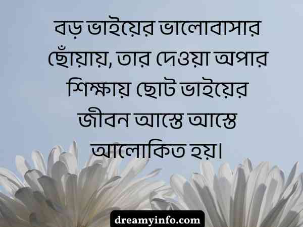 বড় ভাই নিয়ে স্ট্যাটাস