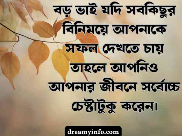 বড় ভাই নিয়ে স্ট্যাটাস