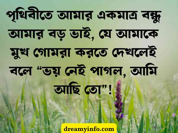 বড় ভাই নিয়ে স্ট্যাটাস