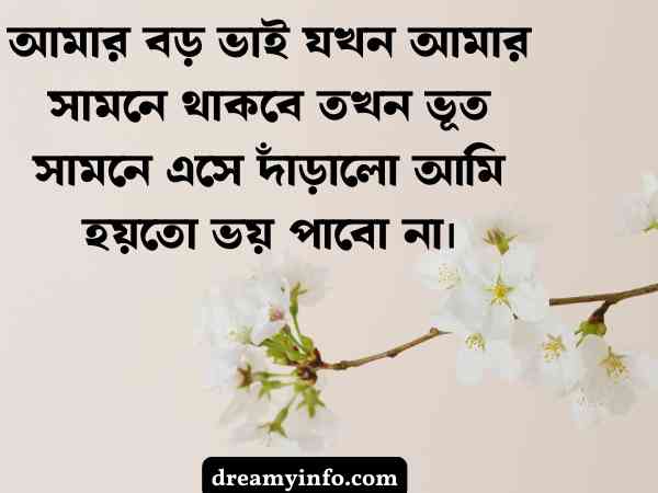 বড় ভাই নিয়ে স্ট্যাটাস