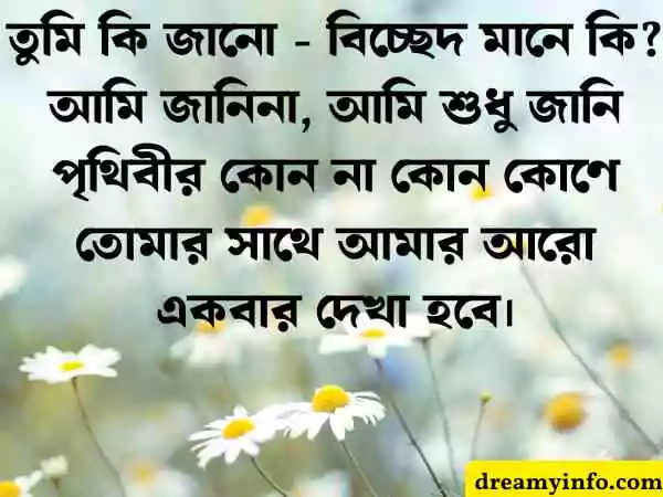 আবেগি মন স্ট্যাটাস