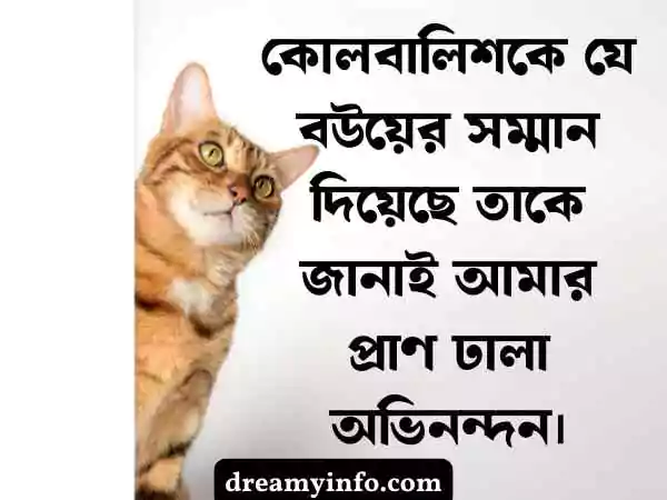 ফেসবুক ফানি স্ট্যাটাস বাংলা