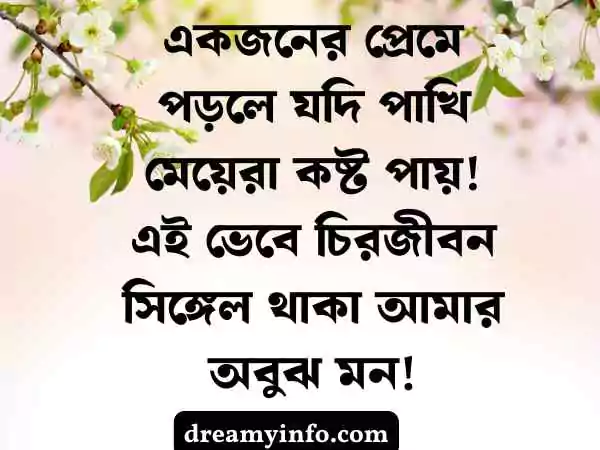 ফেসবুক ফানি স্ট্যাটাস বাংলা