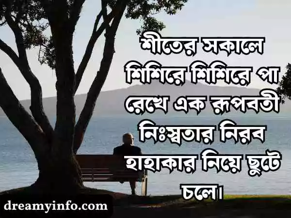 শুভ সকাল স্ট্যাটাস