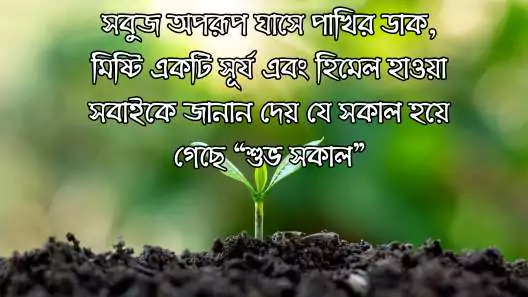 শুভ সকাল স্ট্যাটাস