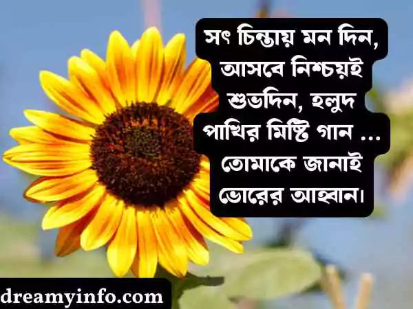 শুভ সকাল স্ট্যাটাস