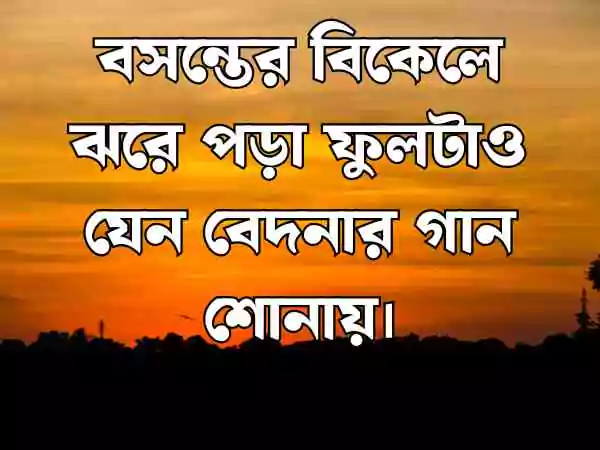 বিকেল নিয়ে ক্যাপশন