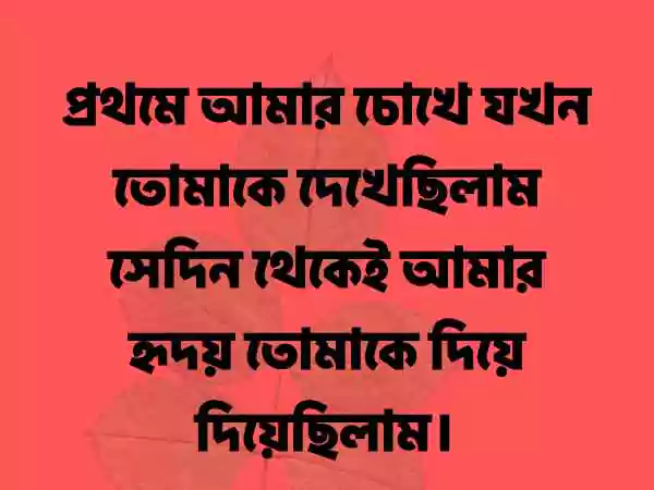 কবিতা নিয়ে ক্যাপশন